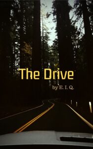 the drive cover